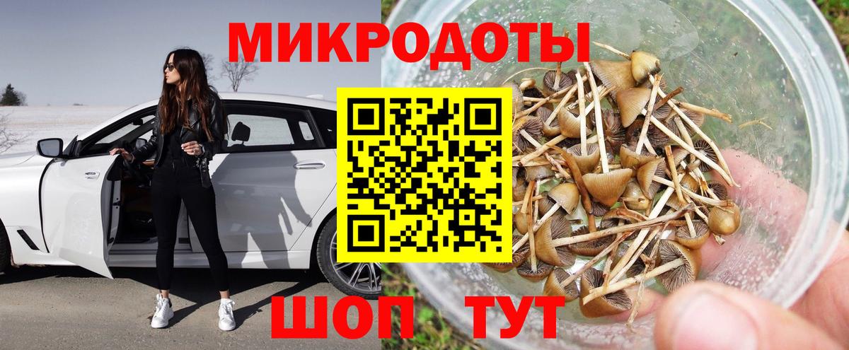 Галлюциногенные грибы GOLDEN TEACHER Павловский Посад